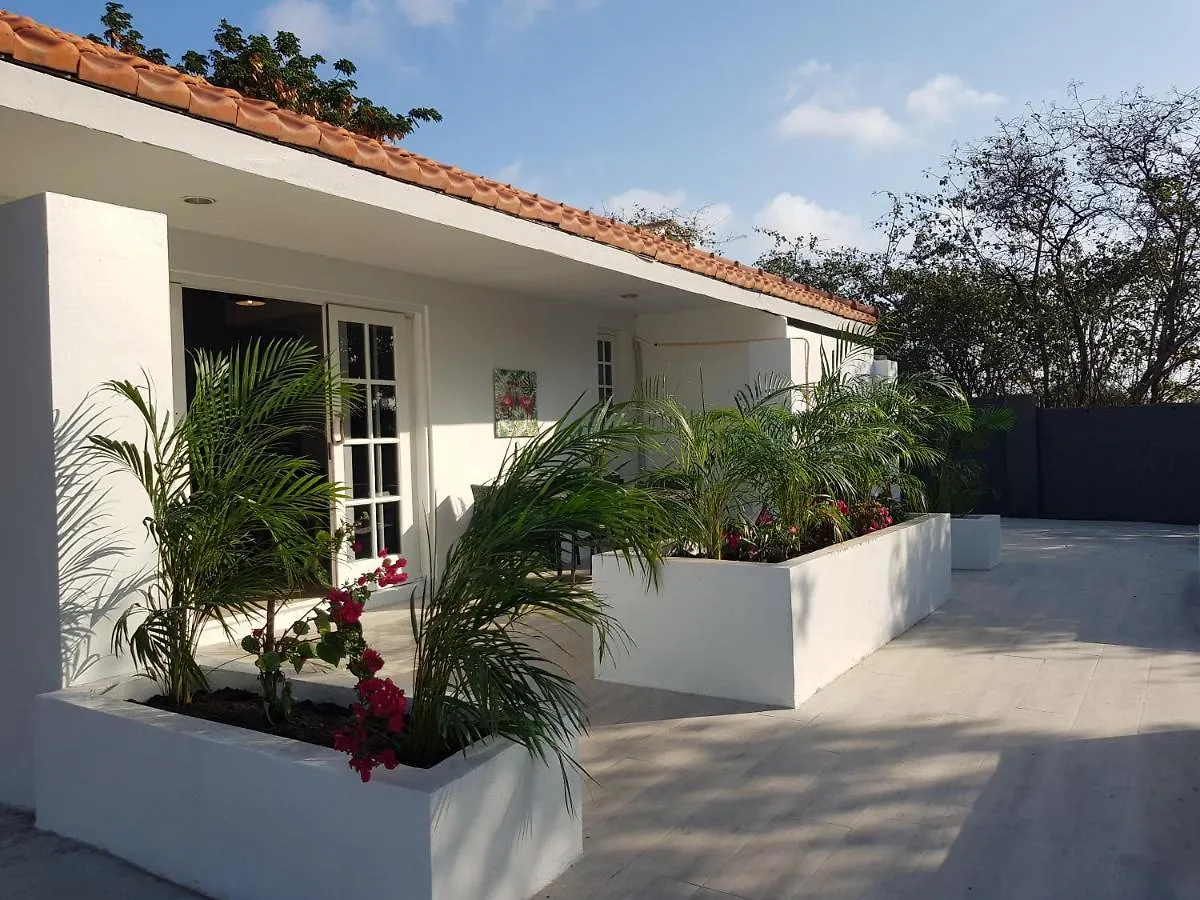 4-Pers Accomodatie Julianadorp, Curacao Willemstad
